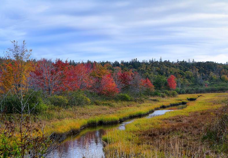 20141007-20141007-IMG_3428_9_tonemapped British Canal Castine